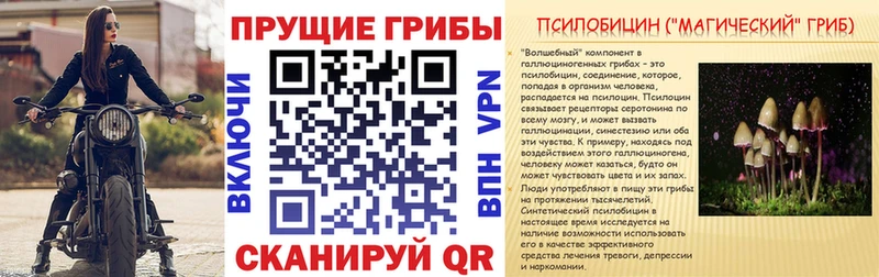 мега сайт  Менделеевск  Галлюциногенные грибы Magic Shrooms 